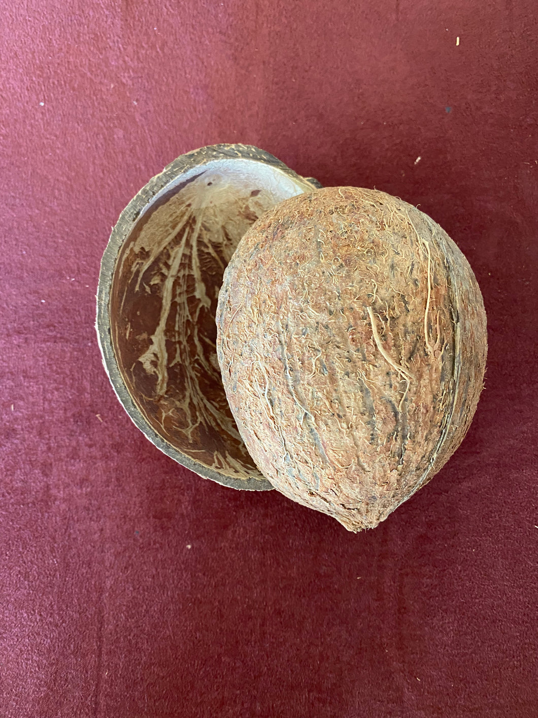 Coconut Half